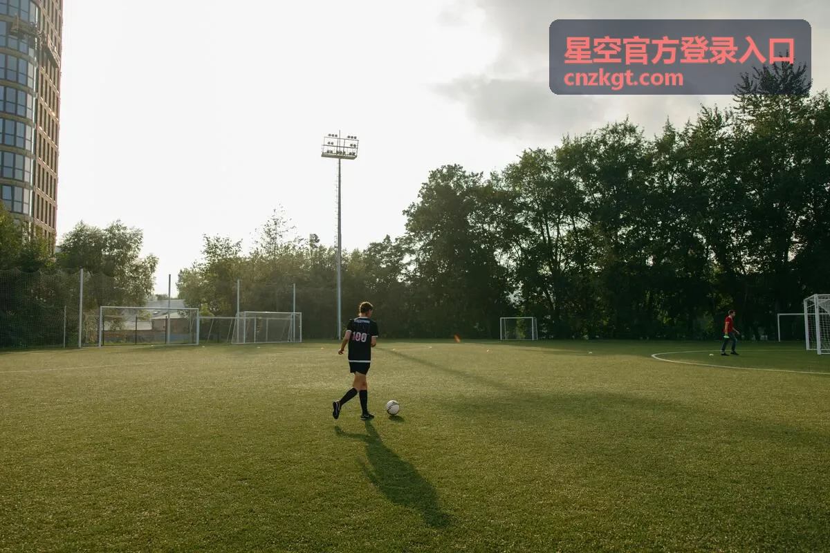 星空官方登录入口在移动端浏览器上的地址核验与验证步骤