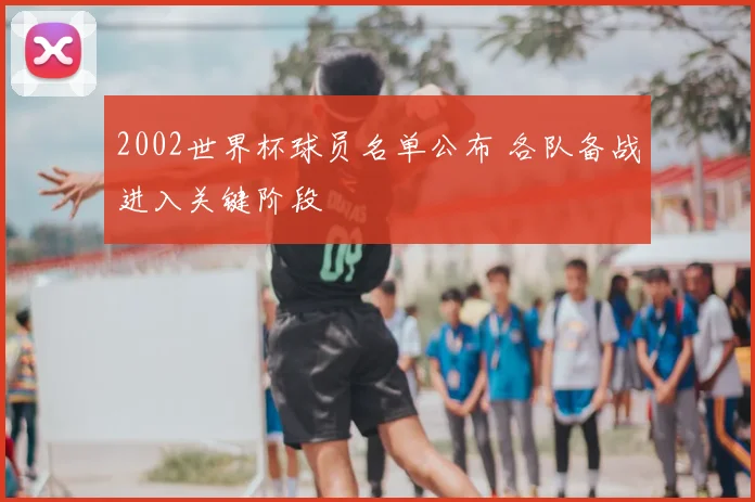 2002世界杯球员名单公布 各队备战进入关键阶段