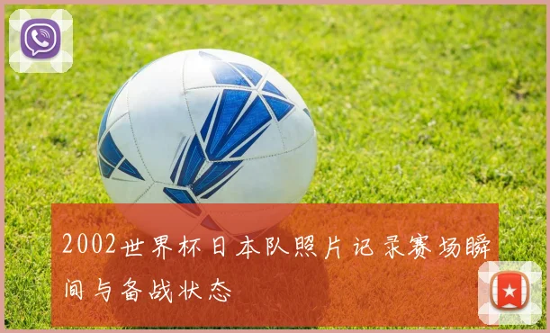 2002世界杯日本队照片记录赛场瞬间与备战状态